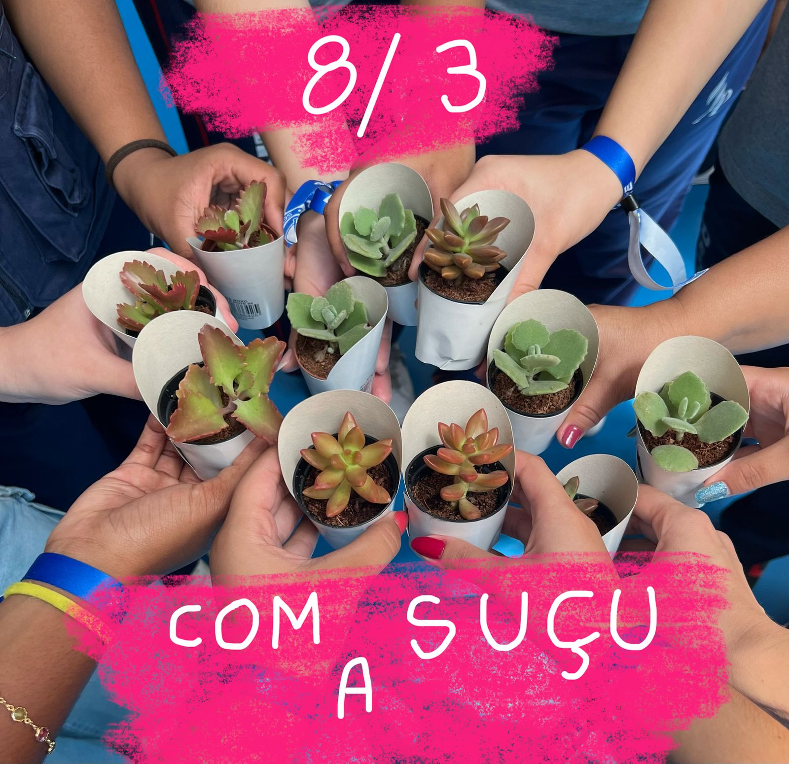 SUÇUARANAS
